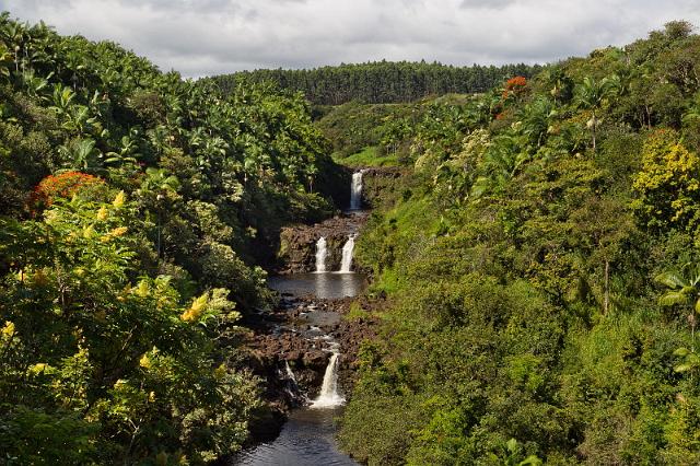 035 Big Island, Hilo, Amauma Falls.jpg